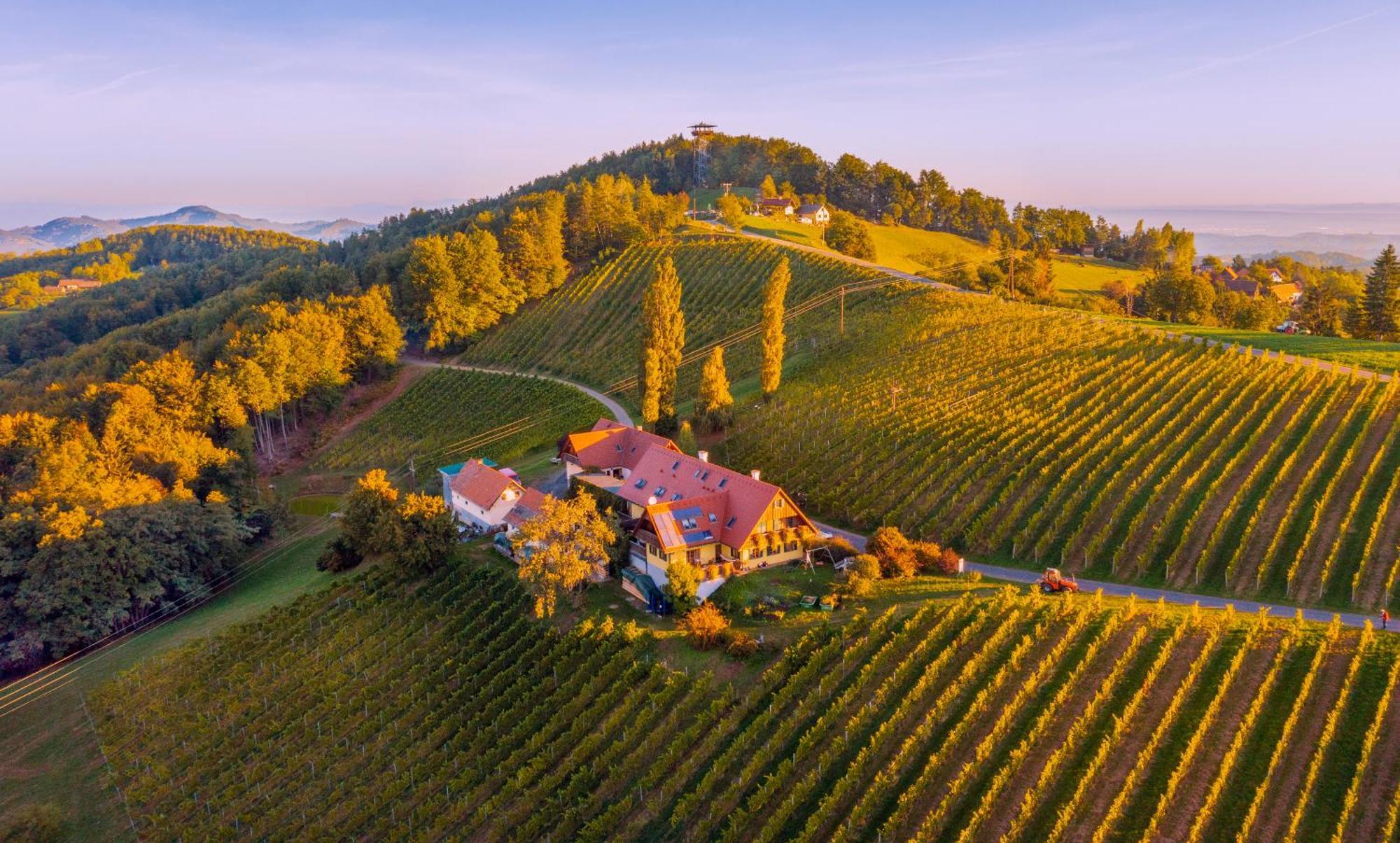 Weingut Winzerzimmer Rothschaedl ロイトシャッハ エクステリア 写真