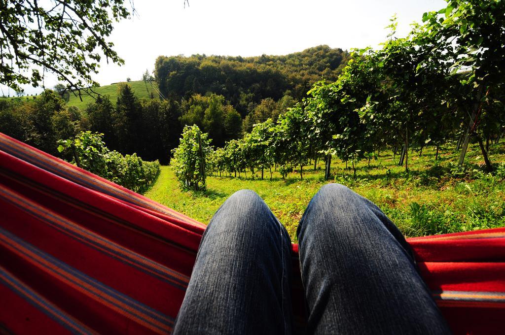 Weingut Winzerzimmer Rothschaedl ロイトシャッハ エクステリア 写真