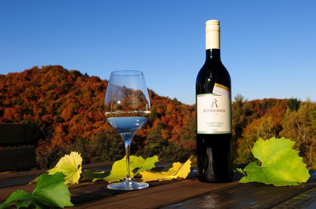 Weingut Winzerzimmer Rothschaedl ロイトシャッハ エクステリア 写真