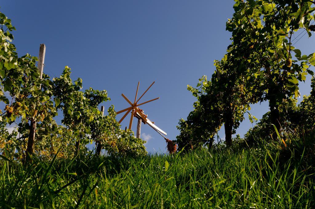 Weingut Winzerzimmer Rothschaedl ロイトシャッハ エクステリア 写真