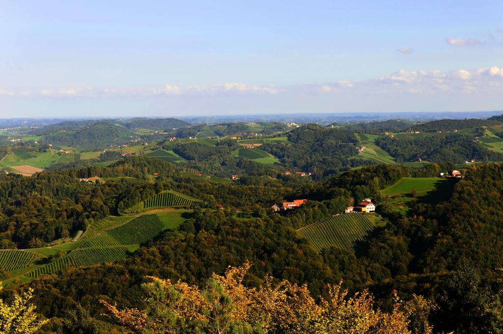 Weingut Winzerzimmer Rothschaedl ロイトシャッハ エクステリア 写真